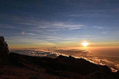 《星刃》工作室正开发次世代新作 3A都市科幻动作RPG